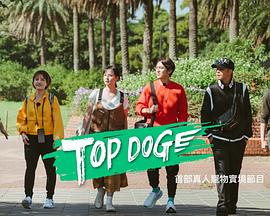 杏吧Pro《TOP DOG》免费在线观看