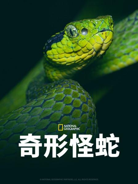 杏吧传媒《奇形怪蛇》免费在线观看